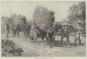 Transporte de produtos agrícolas no Chile